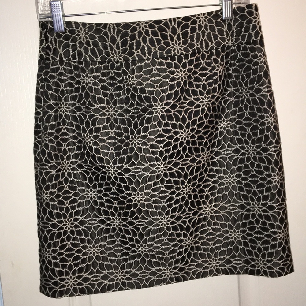 Ann Taylor skirt